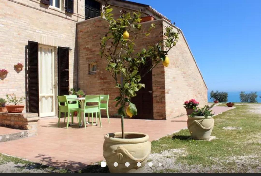 マリーナ・パルメンセ La Collina Sul Mare Bed & Breakfast エクステリア 写真